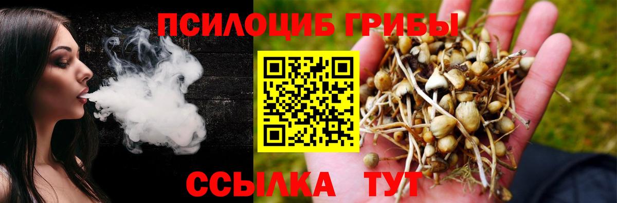 Галлюциногенные грибы Cubensis  закладка  Реутов  Вход с VPN 